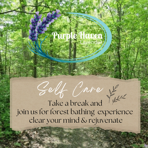 Forest Bathing Experience