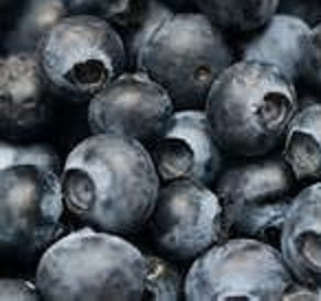 Fresh blueberries ready for our delicious Lavender Blueberry Jam, crafted with a hint of lavender.
