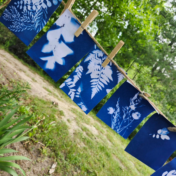 Light, Lavender & Cyanotype Tea Party | Ontario’s Southwest Signature Experience