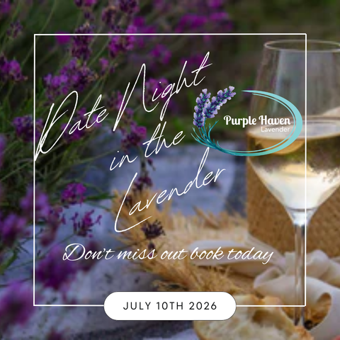 Date Night in the Lavender Picnic Experience