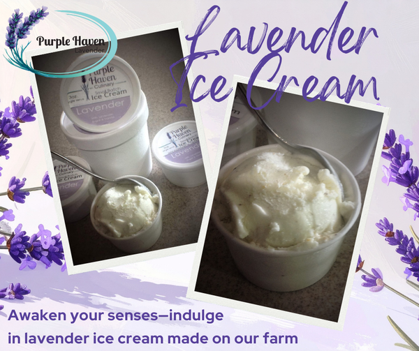 Purple Haven lavender ice cream cups on a lavender-themed background; farm-fresh, small-batch treat.