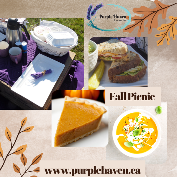 Picnic on the Farm  Fall Menu option