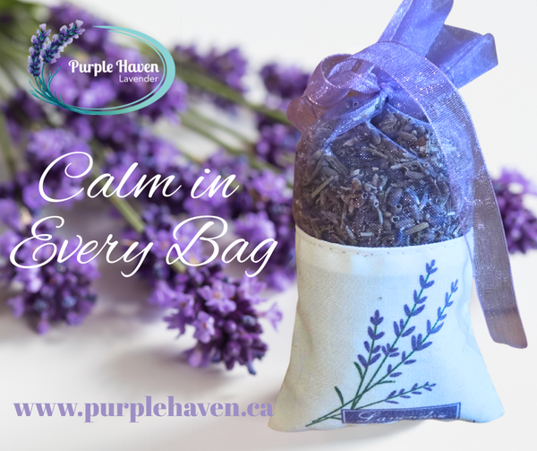 Handcrafted Lavender Sachet Bags | Farm Grown