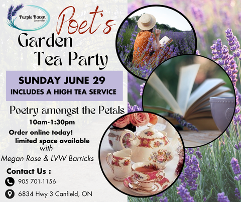 Poet's Garden Tea Party   Words in Bloom - Poetry Amongst the  Lavender Blooms