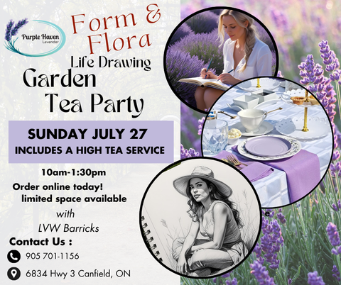 Experience the Form & Flora life drawing event at Purple Haven Lavender Farm with a delightful high tea lunch.