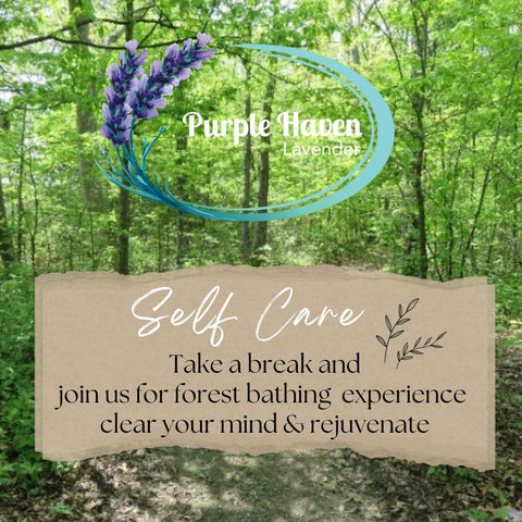 Self Care take a break and join us for a forest bathing experience