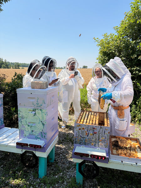 Immersive Honey Bees Experience – Haldimand County, Ontario