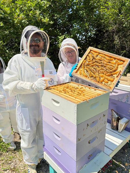Immersive Honey Bees Experience – Haldimand County, Ontario