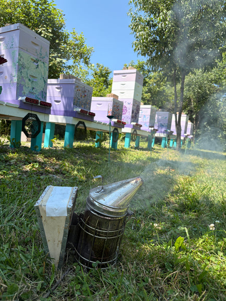 Immersive Honey Bees Experience – Haldimand County, Ontario