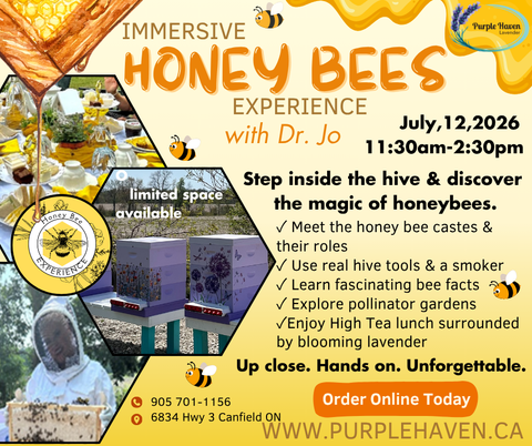 Immersive Honey Bee Experience – Haldimand County, Ontario poster featuring bees, honey, and beekeeping visuals.