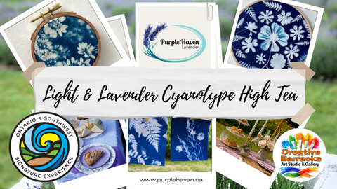 Light, Lavender & Cyanotype Tea Party | Ontario’s Southwest Signature Experience