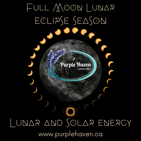 Lunar Eclipse Mini Half Day Yoga & Wellness Retreat   March 24, 2024 ( registration has closed)