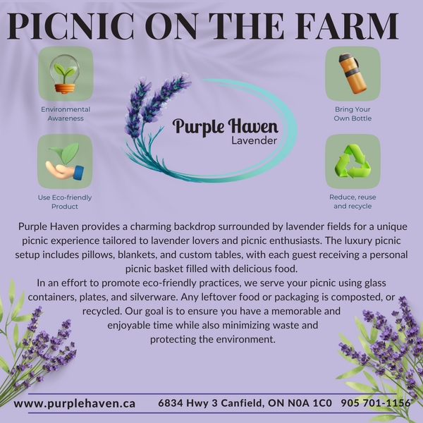 Picnic on the Farm  Summer Menu option 1&2