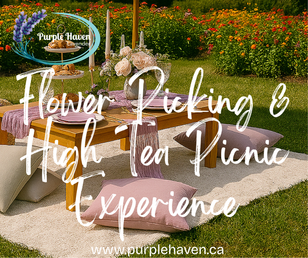 Our Signature Flower Picking & High Tea Picnic Experience