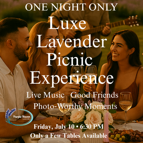 Luxe Lavender Sunset Picnic Experience | Purple Haven Ontario
