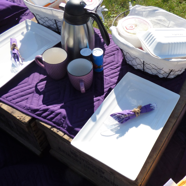 Father’s Day Hive Experience: Coffee & Lunch with the Bees