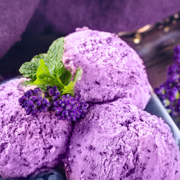 Purple Haven lavender ice cream scoop Adventure in to the Bee Hives   ages 8   Sunday August 24, 2025  11:30am-2pm