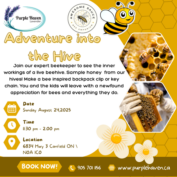 Adventure in to the Bee Hives   ages 8+  Sunday August 24, 2025  11:30am-2pm