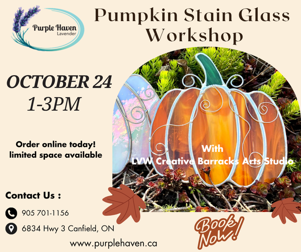 Stain Glass Fall Pumpkin  Saturday October 24th, 2026 1-3