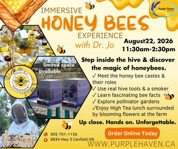 Immersive Honey Bees Experience – Haldimand County, Ontario
