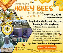 Immersive Honey Bees Experience – Haldimand County, Ontario