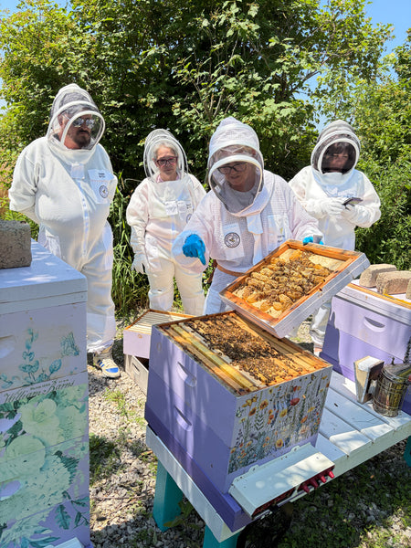 Immersive Honey Bees Experience – Haldimand County, Ontario