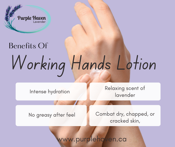 Discover intense hydration and soothing relief with Working Hands lotion from Purple Haven for dry skin care.