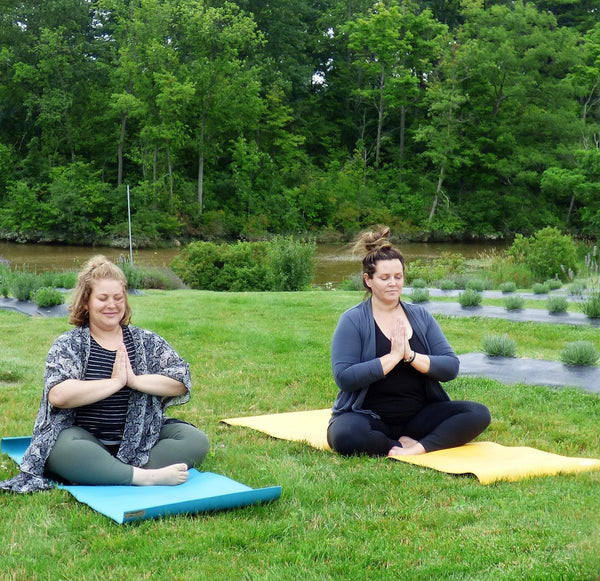 Yoga Wednesday Essential Yoga Workshops hosted by Michelle Racine