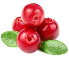 Fresh cranberries perfect for our Lavender Cranberry Jam - Artisan Spread for All Occasions, ideal for any culinary delight.