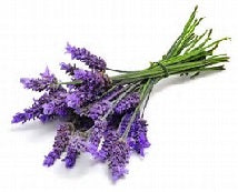 Lavender Air Freshener Spray