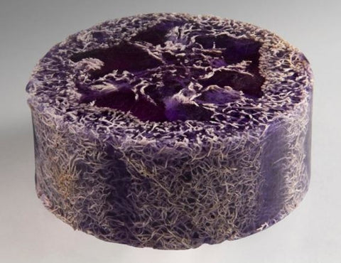 Gently exfoliating Loofah Soap with natural loofah for soft, moisturized skin. Perfect for a refreshing bath experience.