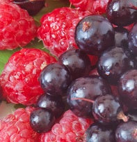 Delight in Lavender Raspberry Blackcurrant Jam, featuring vibrant raspberries and blackcurrants from our Ontario farm.