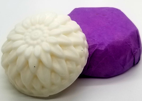 Shampoo & Conditioner Bars