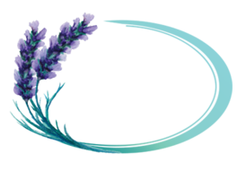 Purple Haven 